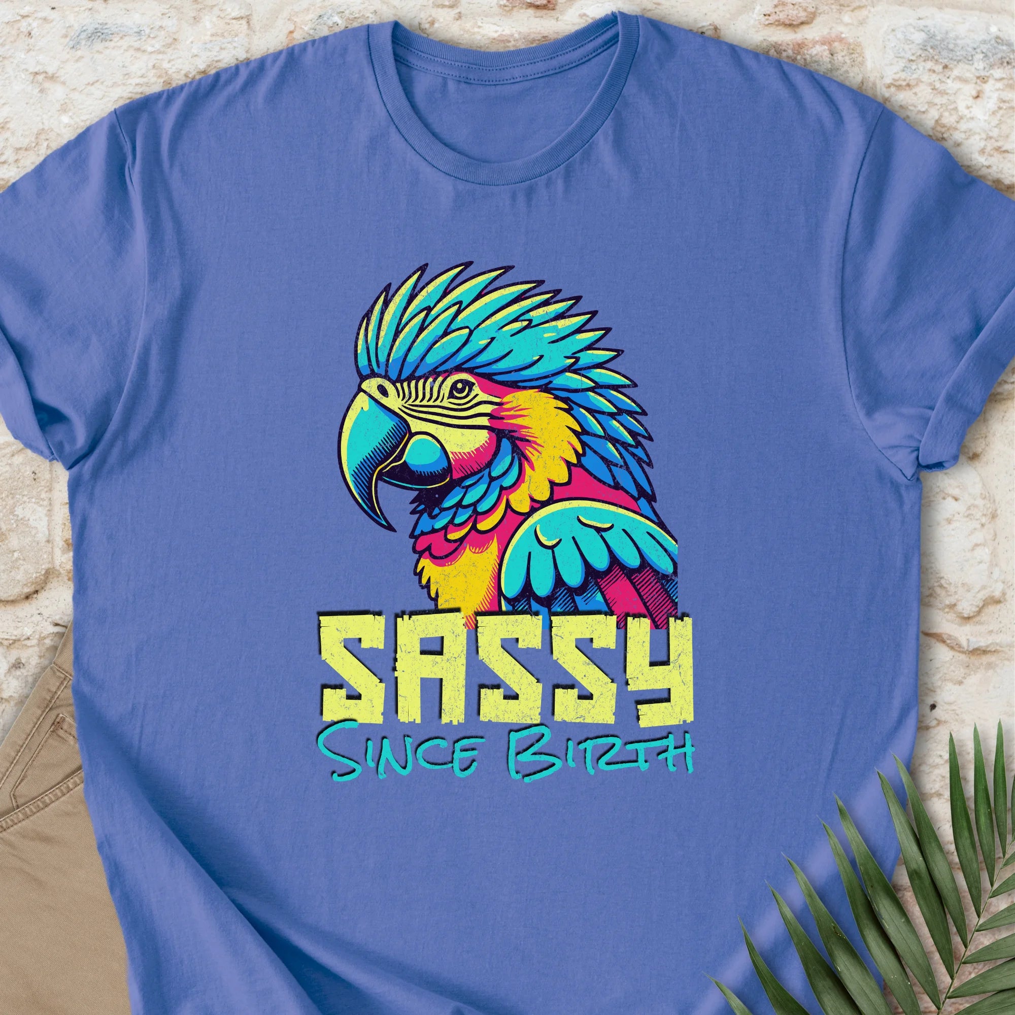 Sassy T-shirt