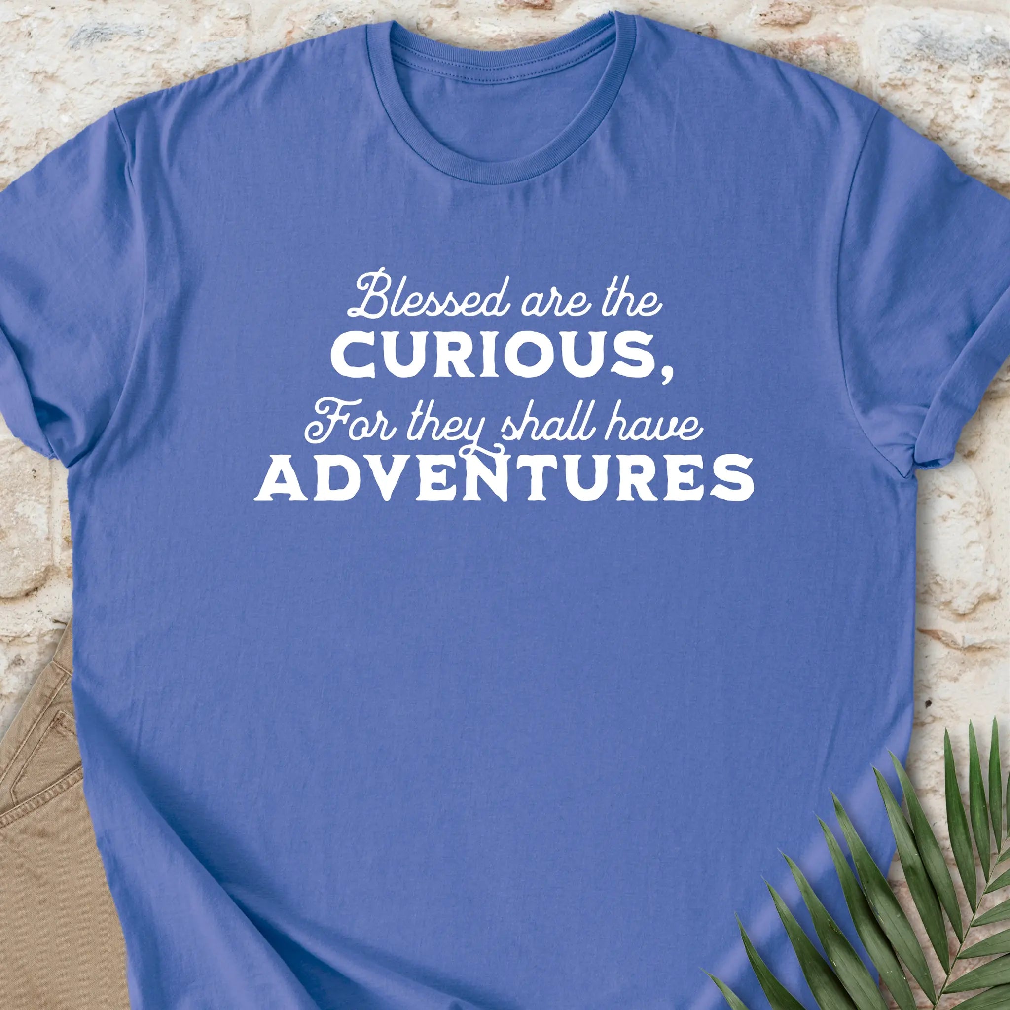 Curious T-shirt